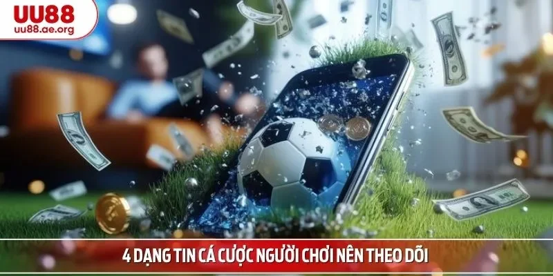 4 dạng tin cá cược người chơi nên theo dõi 